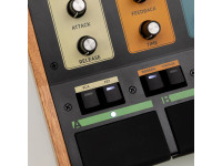 Walrus Audio DFX-1 Walrus Audio DFX-1